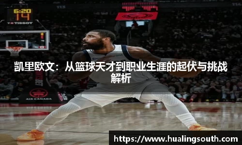 k1体育