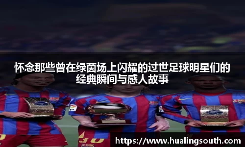 怀念那些曾在绿茵场上闪耀的过世足球明星们的经典瞬间与感人故事